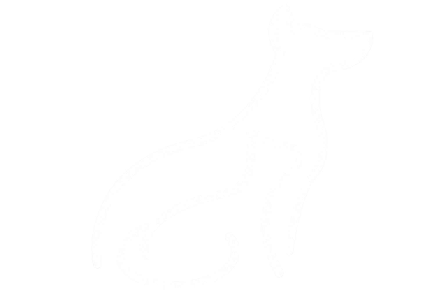 Plano de Saúde Pet - Guapeco